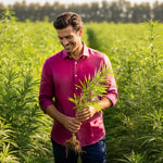 Man in a purple hemp fabric shirt holding a hemp plant in a field