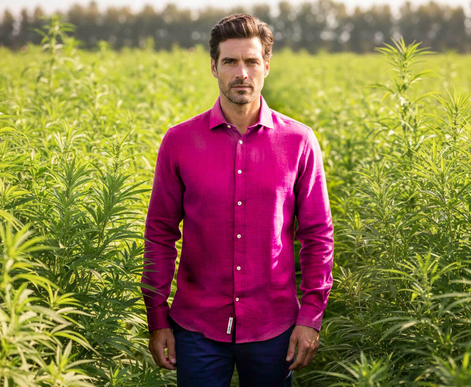 Man in a purple hemp shirt standing in a field of green plants